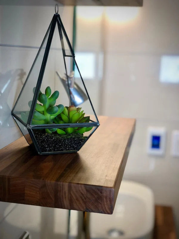 Stylish bathroom decor featuring a geometric succulent terrarium, enhancing modern minimalism.